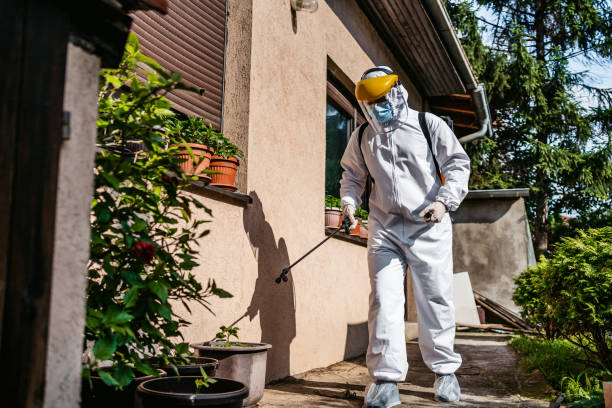 Best Wasp Removal Services  in Conley, GA