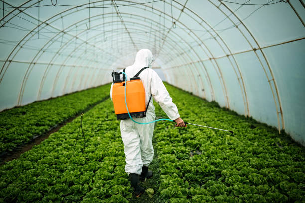 Reliable Conley, GA Pest Control Solutions