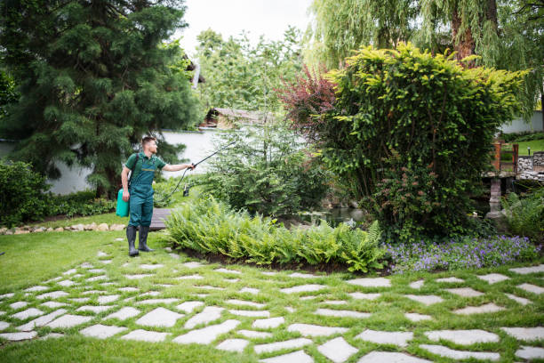 Best Ant Control Services  in Conley, GA