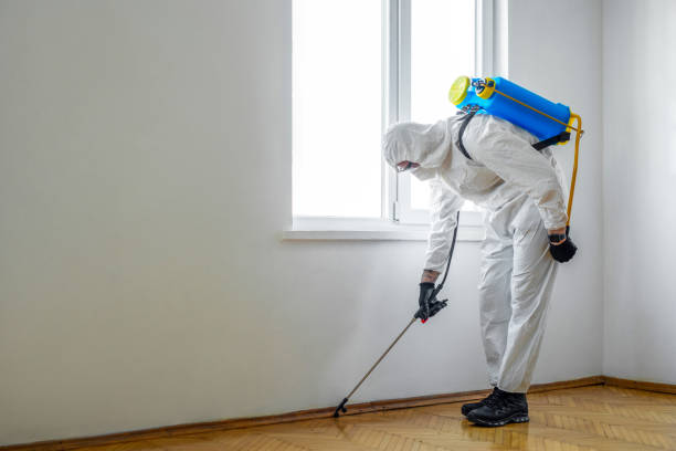 Best Mosquito Control Services  in Conley, GA