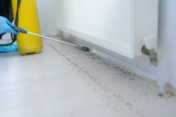 Best Wildlife Control Services  in Conley, GA