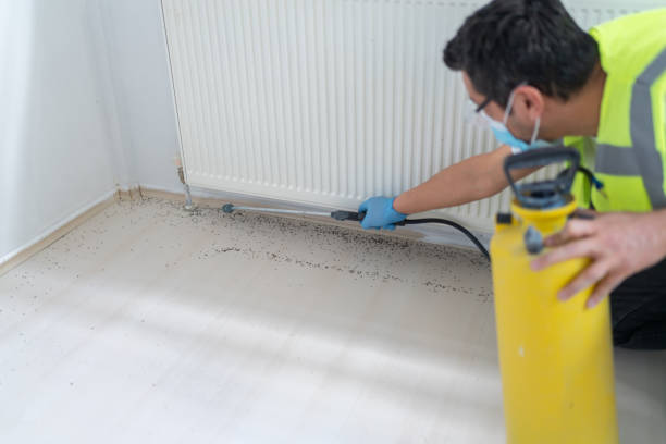 Best Commercial Pest Control Services  in Conley, GA