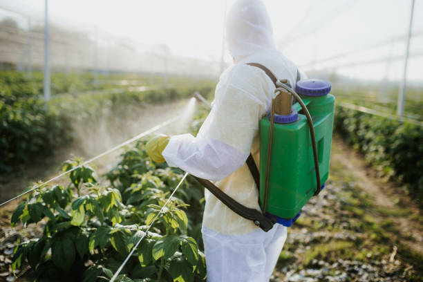 Best Affordable Pest Control Services  in Conley, GA